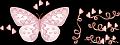 papillons (45)
